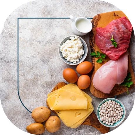 b12 quais alimentos